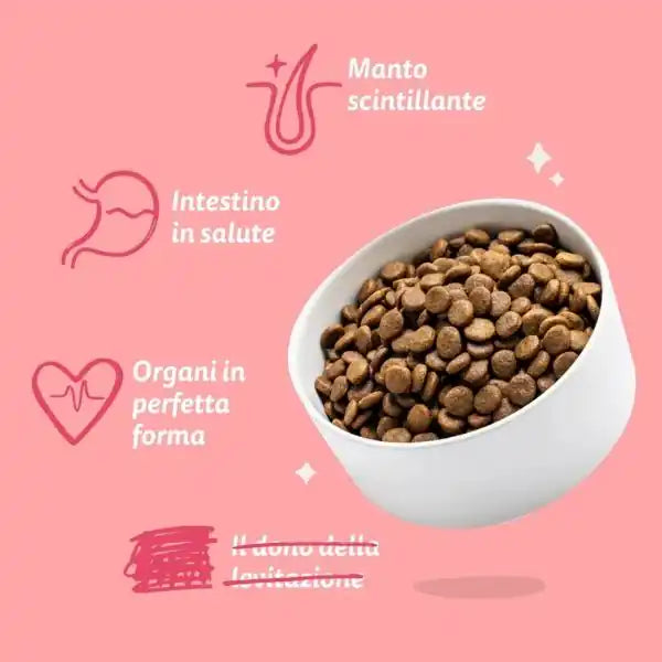 Edgard & Cooper Bio Organic Adult Manzo e Pollo   bauzaarit.myshopify.com