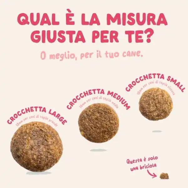 Edgard & Cooper Bio Organic Adult Manzo e Pollo   bauzaarit.myshopify.com
