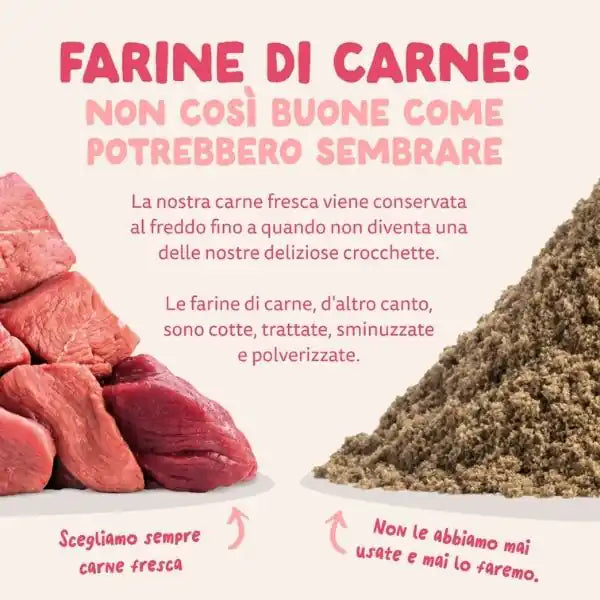 Edgard & Cooper Bio Organic Adult Manzo e Pollo   bauzaarit.myshopify.com