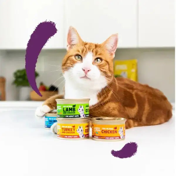 Edgard & Cooper Cat Adult Bocconcini in salsa Grain Free 85 gr   bauzaarit.myshopify.com