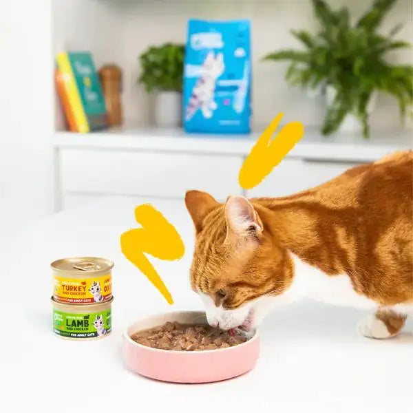 Edgard & Cooper Cat Adult Bocconcini in salsa Grain Free Multipack 8x85 gr   bauzaarit.myshopify.com