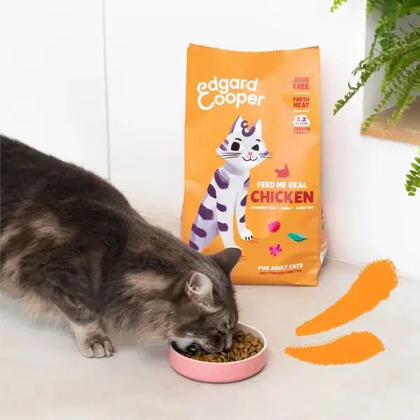 Edgard & Cooper Cat Adult Grain Free Pollo   bauzaarit.myshopify.com