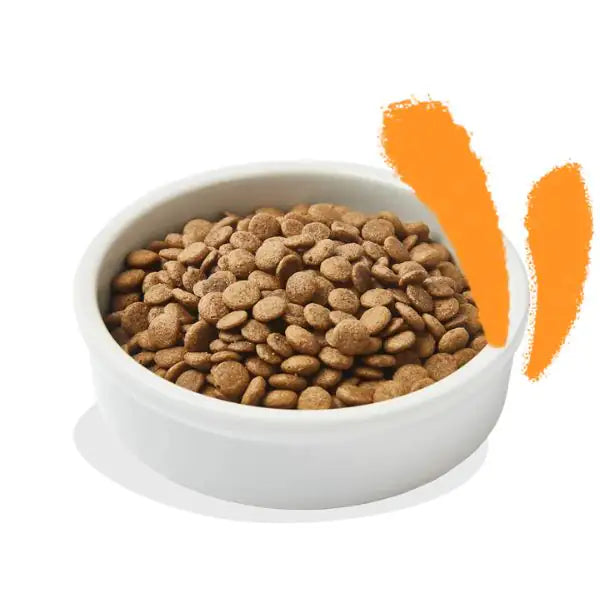 Edgard & Cooper Cat Adult Grain Free Pollo   bauzaarit.myshopify.com