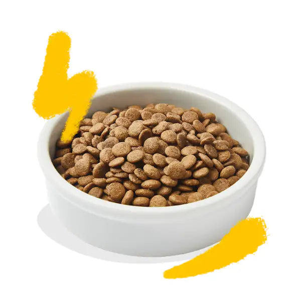 Edgard & Cooper Cat Adult Grain Free Pollo e Tacchino   bauzaarit.myshopify.com
