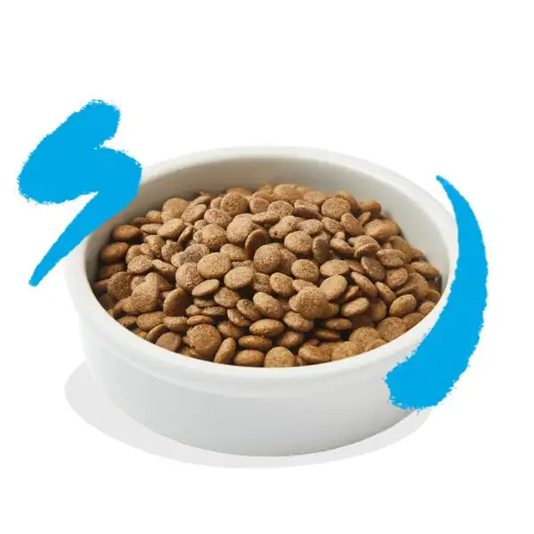 Edgard & Cooper Cat Adult Grain Free Salmone   bauzaarit.myshopify.com