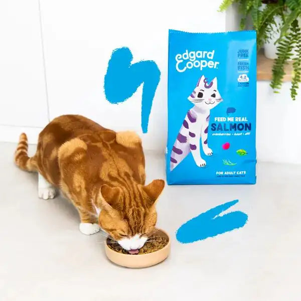 Edgard & Cooper Cat Adult Grain Free Salmone   bauzaarit.myshopify.com