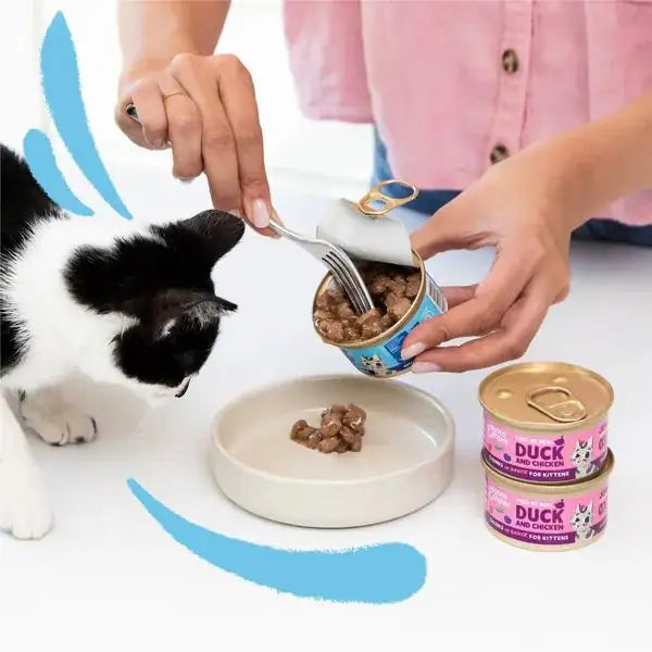 Edgard & Cooper Cat Kitten Bocconcini in salsa Grain Free 85 gr   bauzaarit.myshopify.com