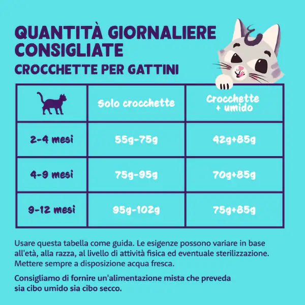 Edgard & Cooper Cat Kitten Grain Free Anatra e pollo   bauzaarit.myshopify.com