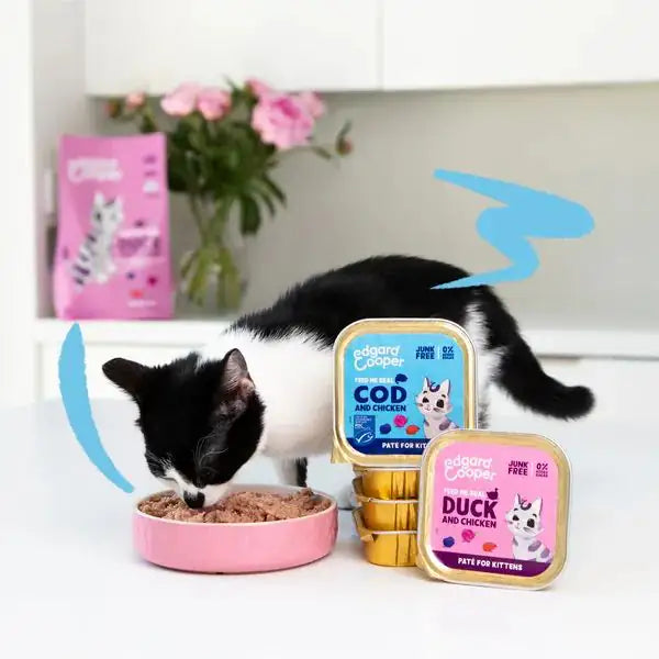 Edgard & Cooper Cat Kitten Patè Grain Free 85 gr   bauzaarit.myshopify.com