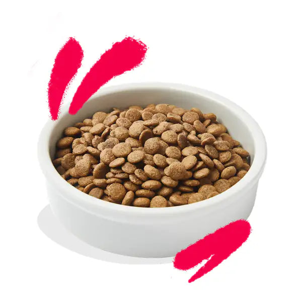 Edgard & Cooper Cat Senior Grain Free Pollo e Tacchino   bauzaarit.myshopify.com