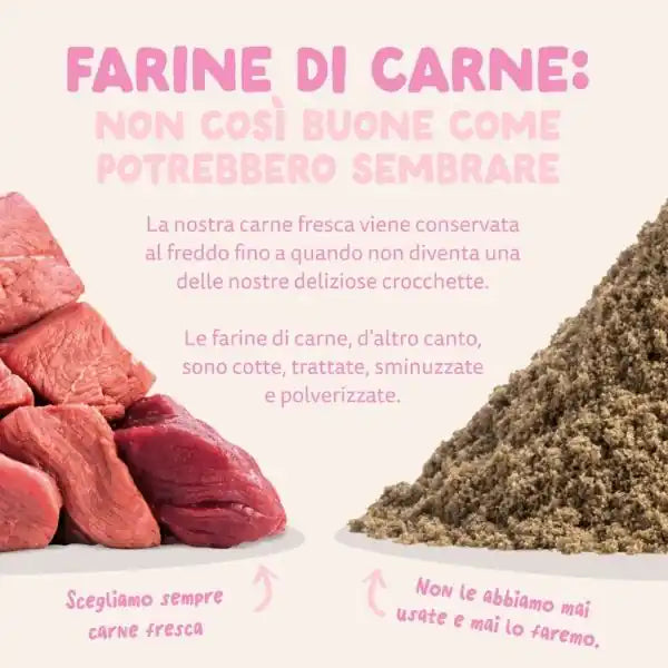 Edgard & Cooper Puppy Grain Free Anatra e Pollo   bauzaarit.myshopify.com