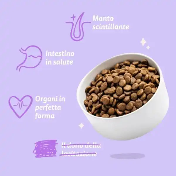 Edgard & Cooper Puppy Grain Free Salmone e Tacchino   bauzaarit.myshopify.com