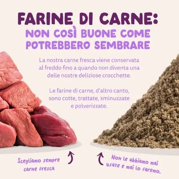 Edgard & Cooper Puppy Grain Free Salmone e Tacchino   bauzaarit.myshopify.com
