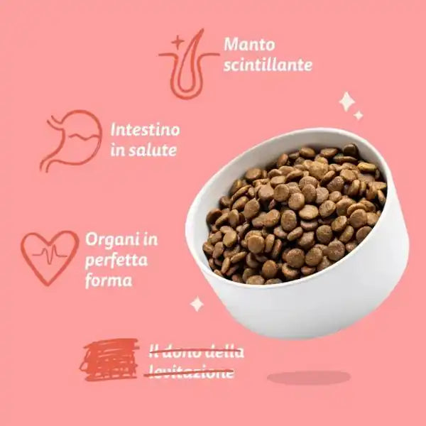 Edgard & Cooper Senior Grain Free Pollo e Salmone   bauzaarit.myshopify.com