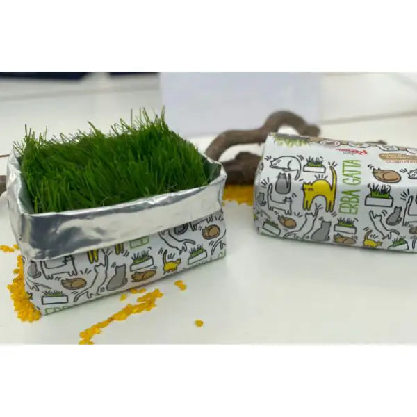 Erba gatta Katty Record   bauzaarit.myshopify.com