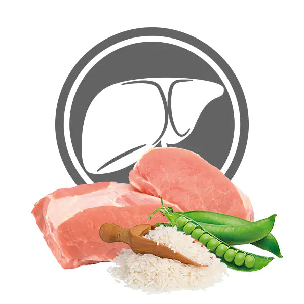 Exclusion Diet Hepatic Monoprotein Small Breed Maiale   bauzaarit.myshopify.com