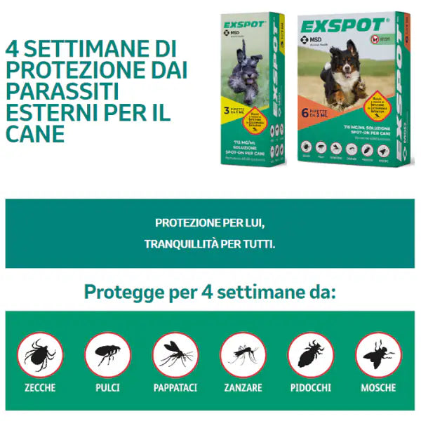 Exspot Spot-On antiparassitario per Cani   bauzaarit.myshopify.com