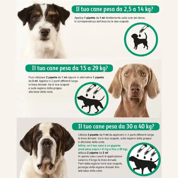 Exspot Spot-On antiparassitario per Cani   bauzaarit.myshopify.com