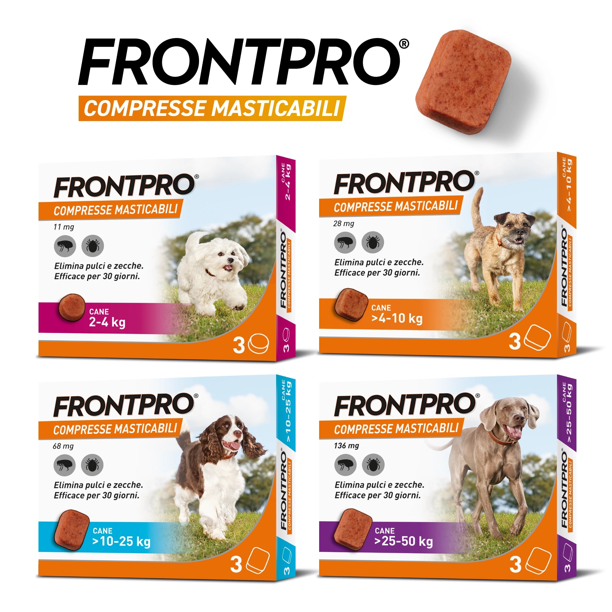 🛡️ Protezione via orale