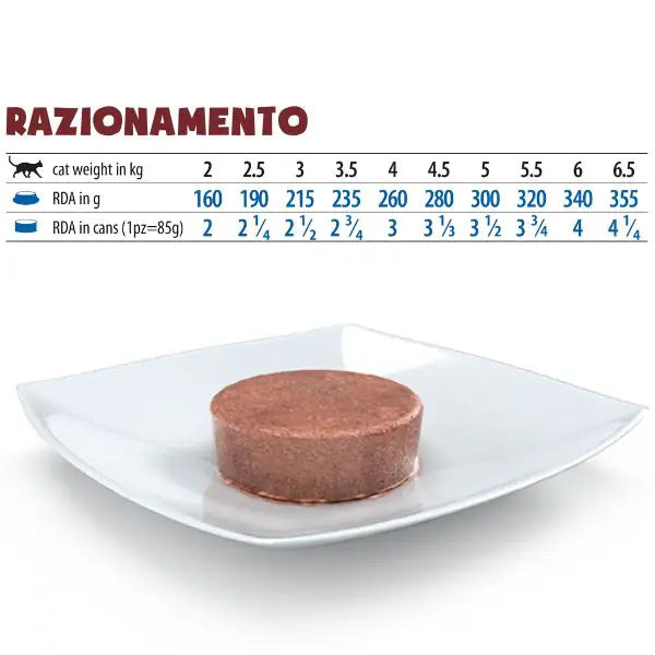 Farmina Vet Life Feline Hepatic   bauzaarit.myshopify.com