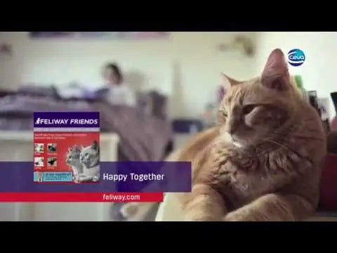 Feliway Friends Diffusore con Ricarica   bauzaarit.myshopify.com