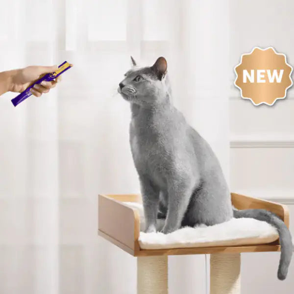 Feliway Happy Snack per gatti in crema 90 gr   bauzaarit.myshopify.com