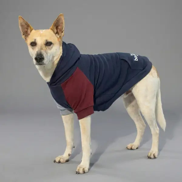 Felpa per cani colorazione a blocchi Base blu Bauzaar  Modello 6 - Fantasia 2 base blu bauzaarit.myshopify.com