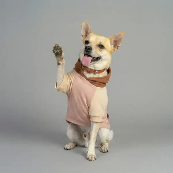 Felpa per cani colorazione a blocchi Base rosa Bauzaar  Modello 1 - Fantasia 1 base rosa bauzaarit.myshopify.com