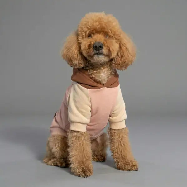 Felpa per cani colorazione a blocchi Base rosa Bauzaar  Modello 3 - Fantasia 1 base rosa bauzaarit.myshopify.com