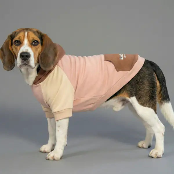 Felpa per cani colorazione a blocchi Base rosa Bauzaar  Modello 4 - Fantasia 1 base rosa bauzaarit.myshopify.com