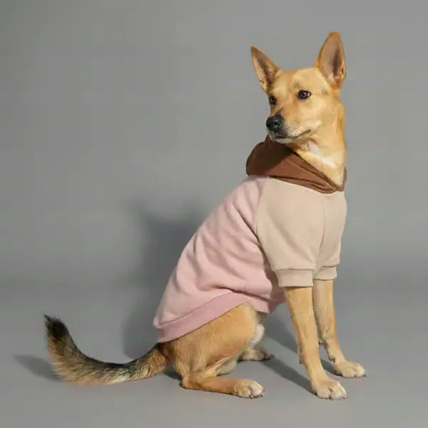 Felpa per cani colorazione a blocchi Base rosa Bauzaar  Modello 5 - Fantasia 1 base rosa bauzaarit.myshopify.com
