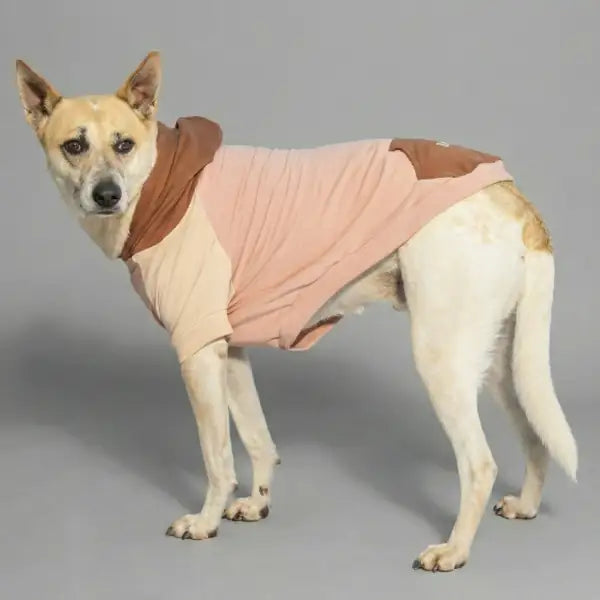 Felpa per cani colorazione a blocchi Base rosa Bauzaar  Modello 6 - Fantasia 1 base rosa bauzaarit.myshopify.com