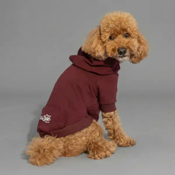 Felpa per cani mono colorazione Bordeaux Bauzaar  Modello 3 - Bordeau x bauzaarit.myshopify.com