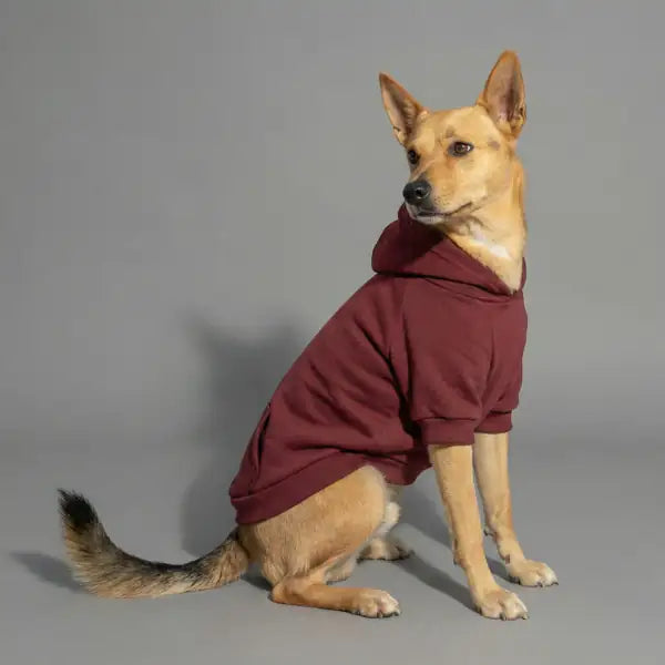 Felpa per cani mono colorazione Bordeaux Bauzaar  Modello 5 - Bordeaux bauzaarit.myshopify.com