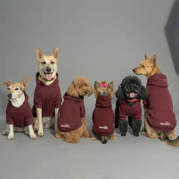 Felpa per cani mono colorazione Bordeaux Bauzaar   bauzaarit.myshopify.com