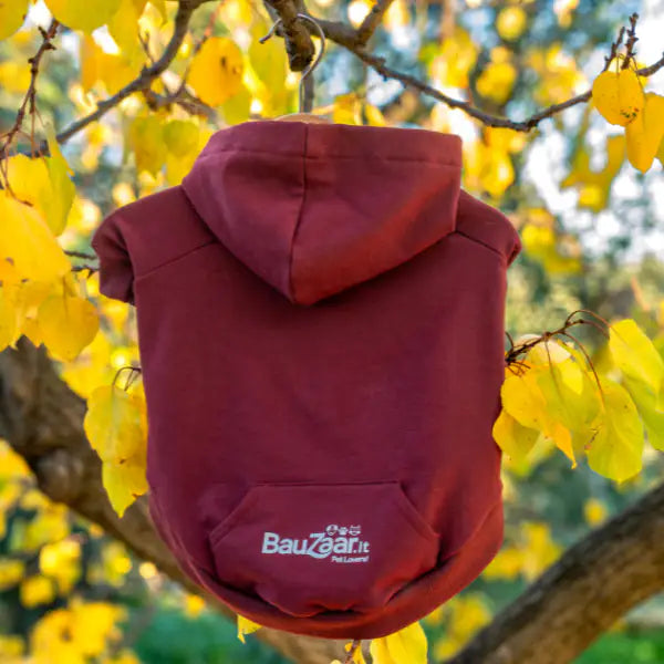 Felpa per cani mono colorazione Bordeaux Bauzaar   bauzaarit.myshopify.com