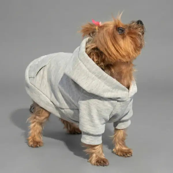 Felpa per cani mono colorazione Grigio Bauzaar  Modello 1 - Grigio bauzaarit.myshopify.com