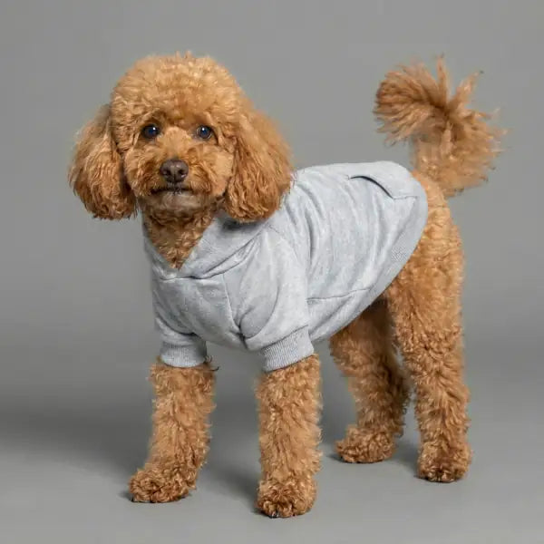 Felpa per cani mono colorazione Grigio Bauzaar  Modello 3 - Grigio bauzaarit.myshopify.com