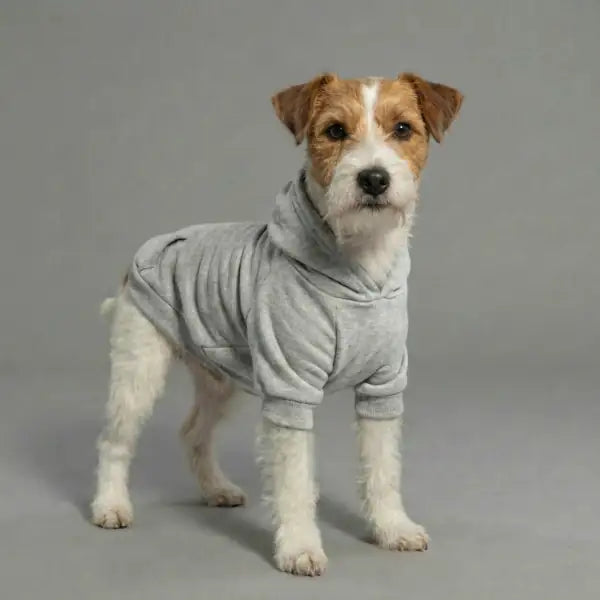 Felpa per cani mono colorazione Grigio Bauzaar  Modello 4 - Grigio bauzaarit.myshopify.com