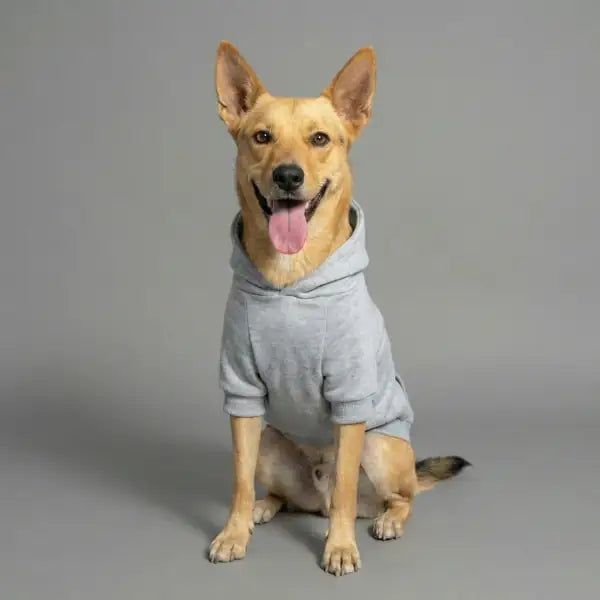 Felpa per cani mono colorazione Grigio Bauzaar  Modello 5 - Grigio bauzaarit.myshopify.com