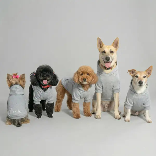 Felpa per cani mono colorazione Grigio Bauzaar   bauzaarit.myshopify.com