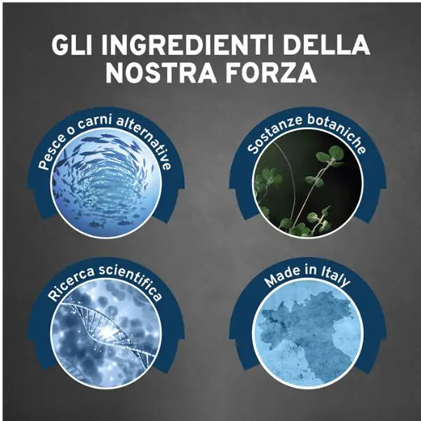 Forza10 Activ Cane Hypoallergenic 100 gr   bauzaarit.myshopify.com