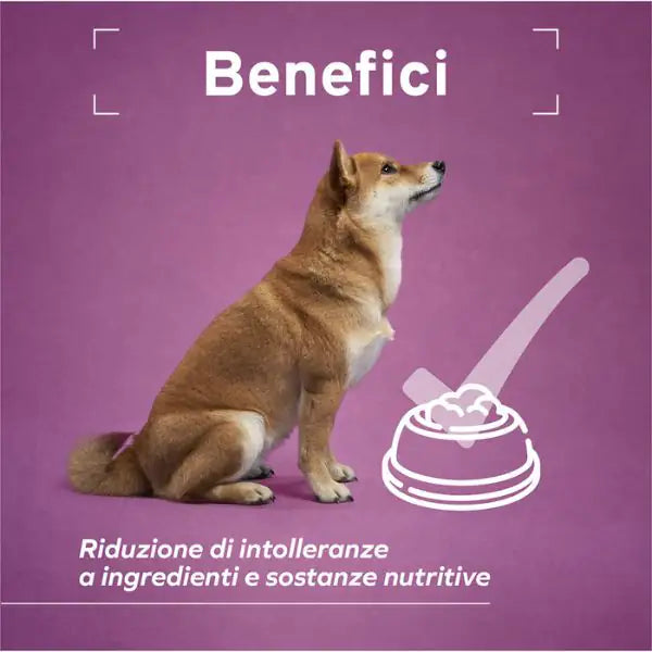 Forza10 Activ Cane Hypoallergenic 100 gr   bauzaarit.myshopify.com
