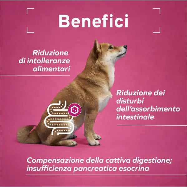 Forza10 Activ Cane Intestinal 100 gr   bauzaarit.myshopify.com