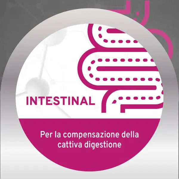 Forza10 Activ Cane Intestinal 100 gr   bauzaarit.myshopify.com