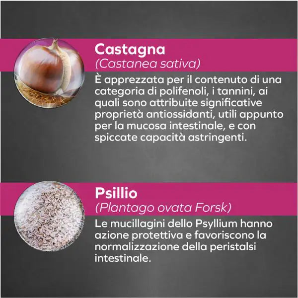 Forza10 Activ Cane Intestinal 100 gr   bauzaarit.myshopify.com