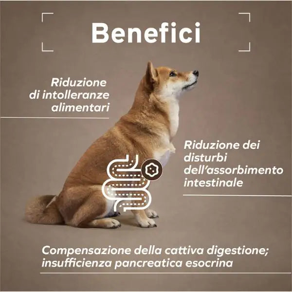Forza10 Activ Cane Intestinal Colon 390 gr   bauzaarit.myshopify.com
