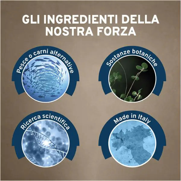 Forza10 Activ Cane Intestinal Colon 390 gr   bauzaarit.myshopify.com