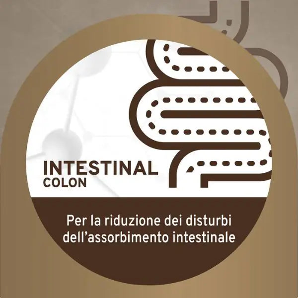 Forza10 Activ Cane Intestinal Colon 390 gr   bauzaarit.myshopify.com