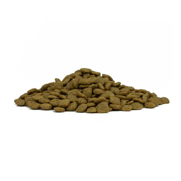 Forza10 Active Cane Gastroenteric Low Fat   bauzaarit.myshopify.com